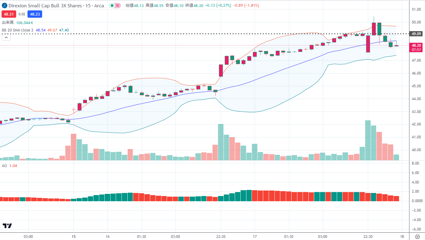 TNA Direxion Daily Small Cap Bull 3x Shares コールデビット